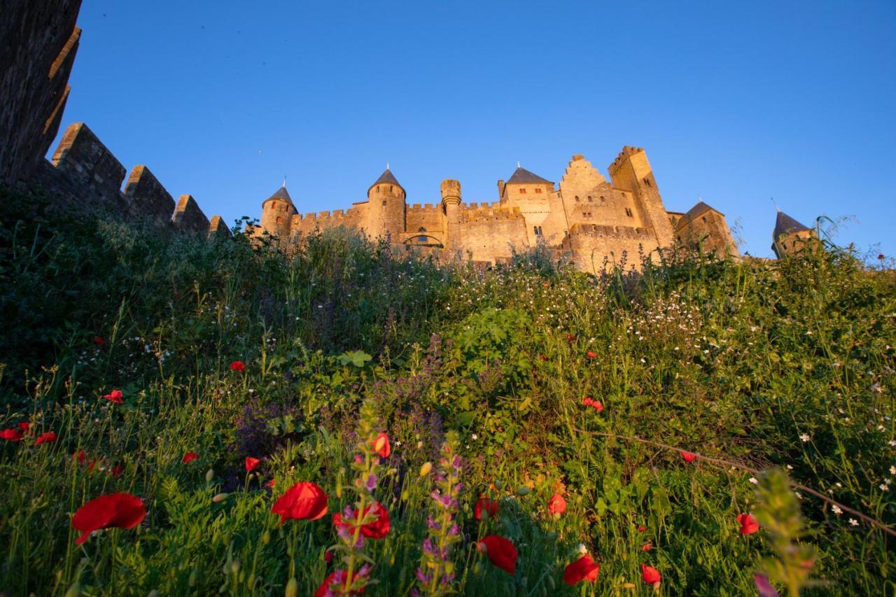 Tout Confort ! Calme, Climatisation, Parking Gratuit, Grande Terrasse, Ascenseur, Wifi Apartment Carcassonne Luaran gambar