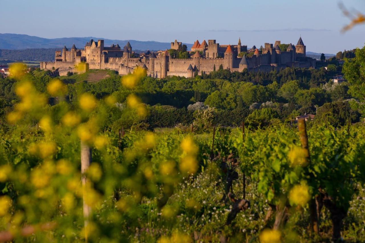 Tout Confort ! Calme, Climatisation, Parking Gratuit, Grande Terrasse, Ascenseur, Wifi Apartment Carcassonne Luaran gambar